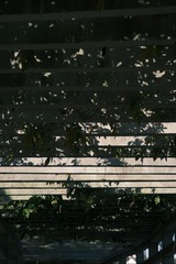 1000045925