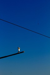 1000002207