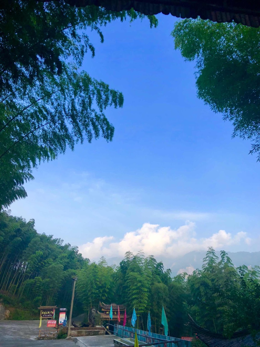 四川北川羌王竹海