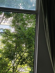1000003913