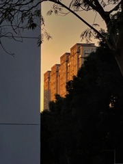 1000195592