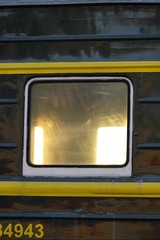 1000058557
