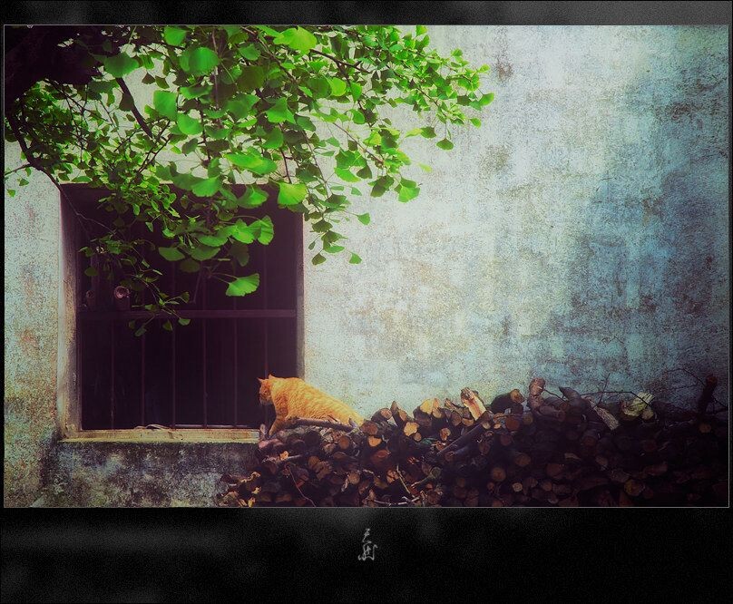 春檐下<br />
