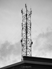 1000026418