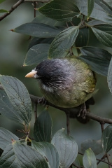 1000100891
