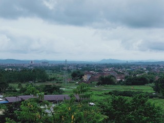 199185