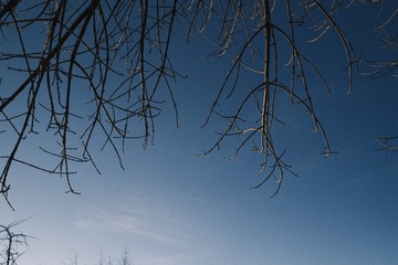 1205A7D5-D097-473E-9562-EAA5BBB613B1/L0/001