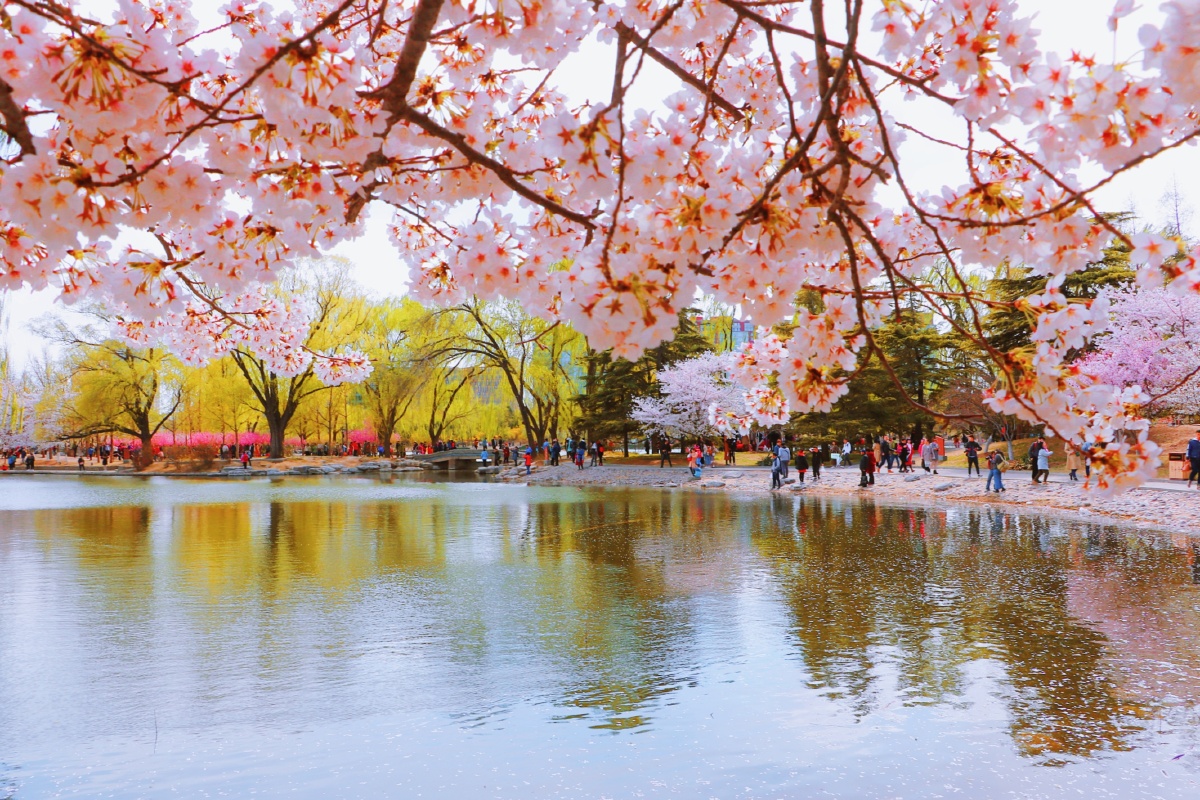 北京玉渊潭公园3月30日周六拍摄