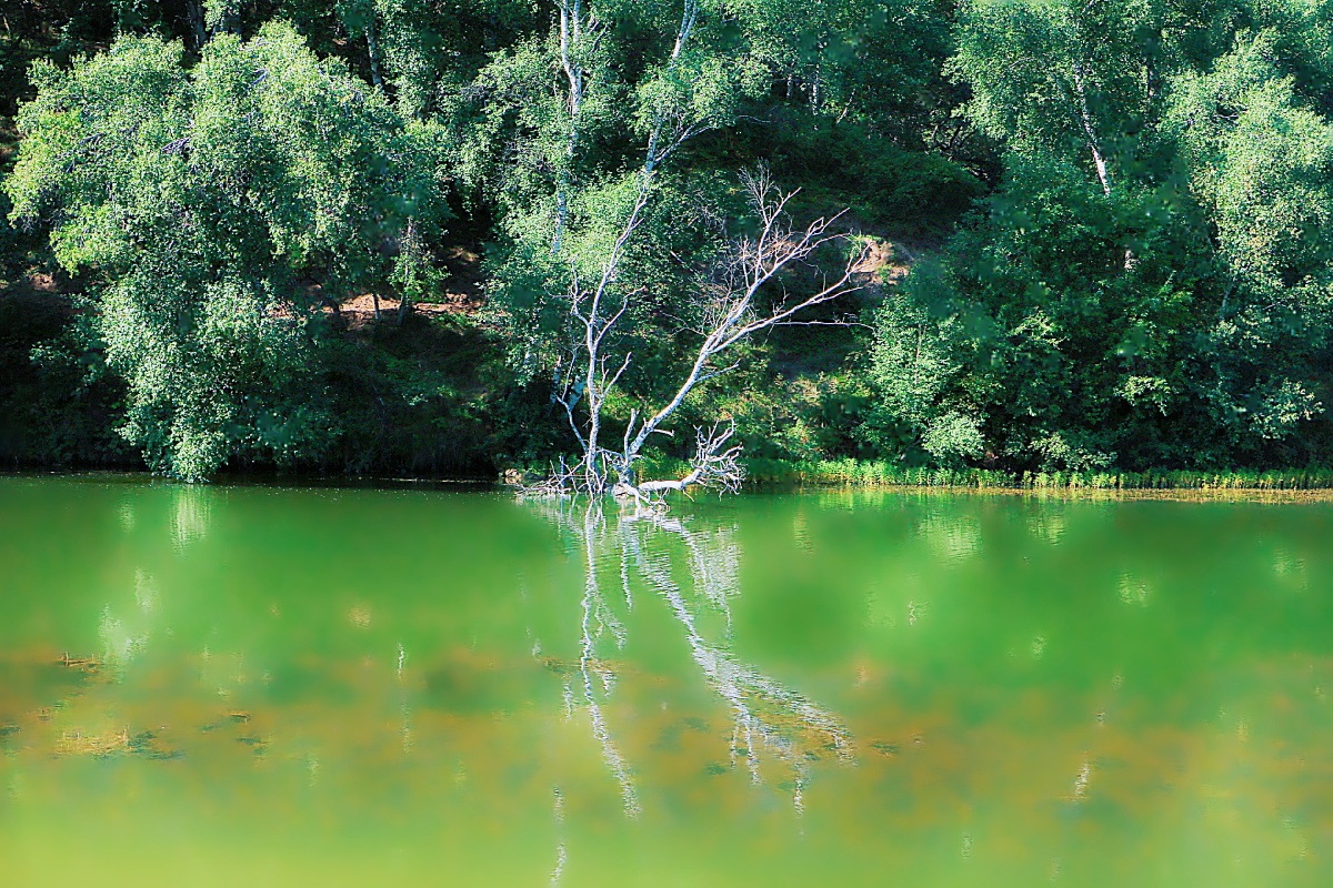 乌兰布统大草原风景