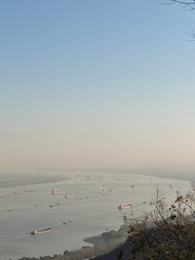 1000166731