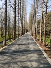 1504062