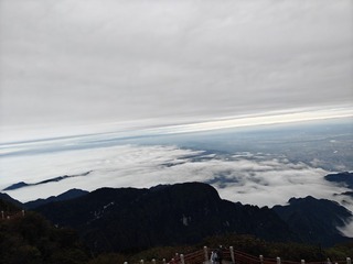 1000016141
