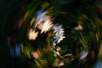 1000012205