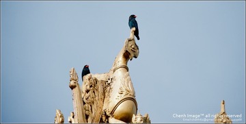 20111018-CHJ_1796.jpg