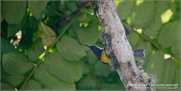 20111018-CHJ_1914.jpg