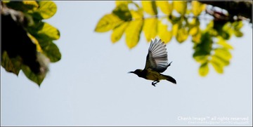 20111018-CHJ_1989.jpg