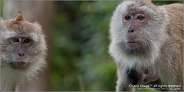 20111020-CHJ_3653.jpg