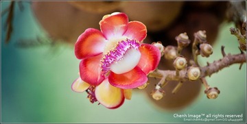 20111022-CHJ_4200.jpg