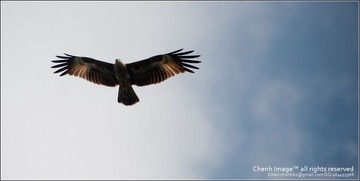 20111020-CHJ_2910.jpg