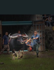 1000026377