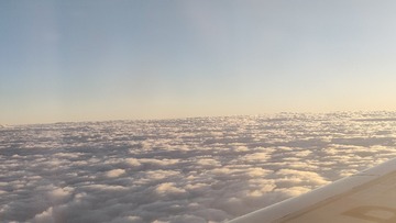 1000023158