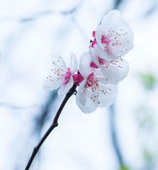 8481559A-7C27-46C5-BB91-A83F02792065