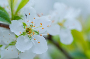 071E8692-B033-4C7F-8C5E-CD2554B2EE35