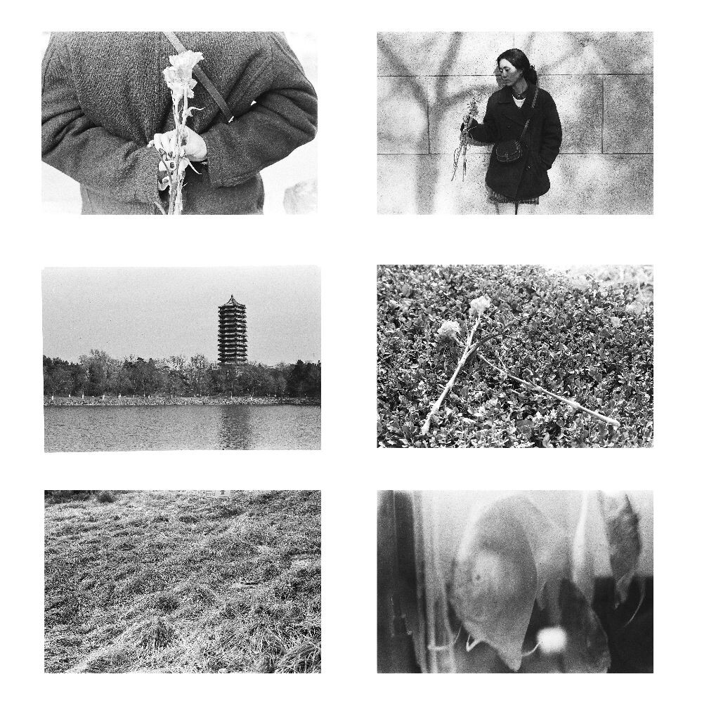 伊尔福 b&amp;w 400     三月拍。  