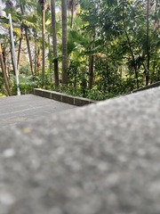 1000008267