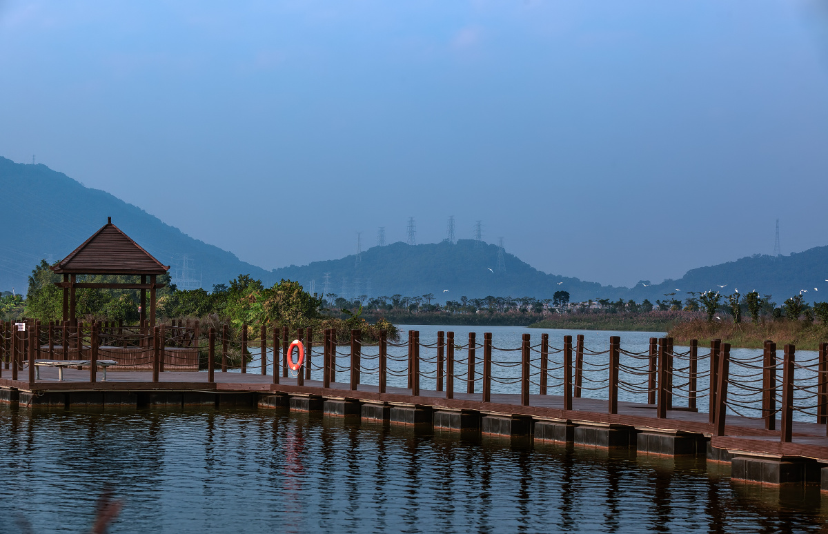 珠海横琴芒洲湿地风光