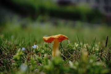 200974