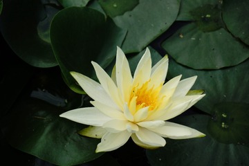 201011