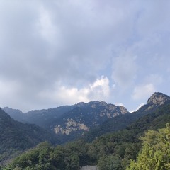 1000045117