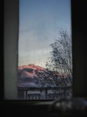 43984