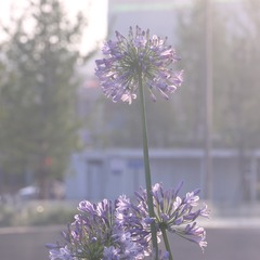 150780