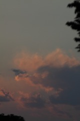 1441281