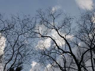 140115