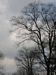 140110