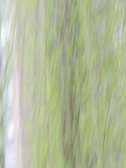 136558