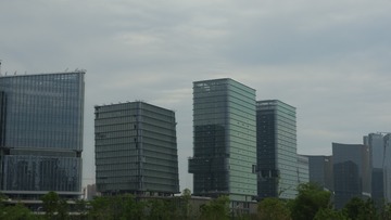 150081