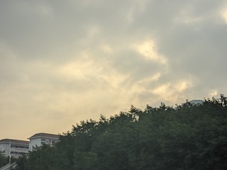 1000013259