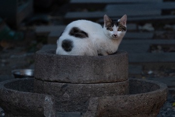 001