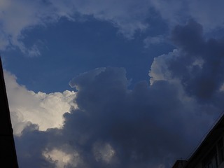 1000011953