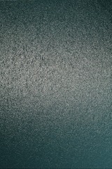 1000079341