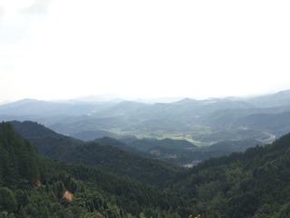 1000014254
