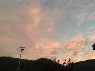 1000079336
