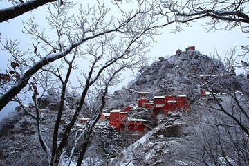 IMG_2152玉树琼枝画仙山s