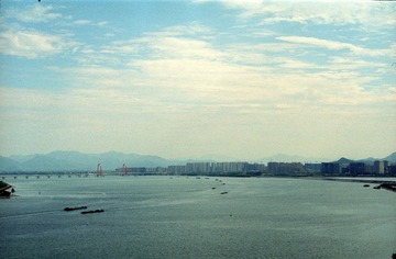 scan308