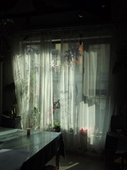 1000052547