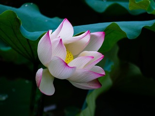 001